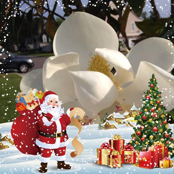 Meet your Posher, Tina - Picture 1 of 1